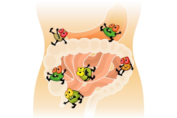 Symptoms of a Healthy and Unhealthy Gut. - Gut Health