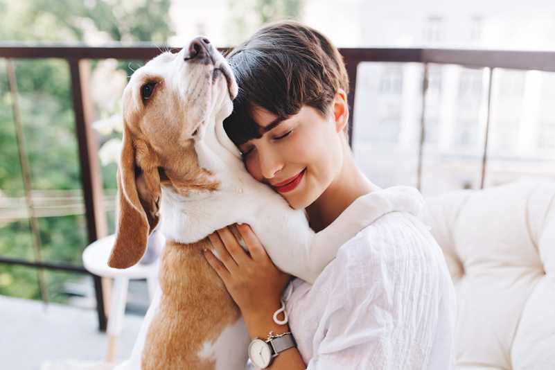 Pets Enhance Mental Wellness: Improve Self-esteem