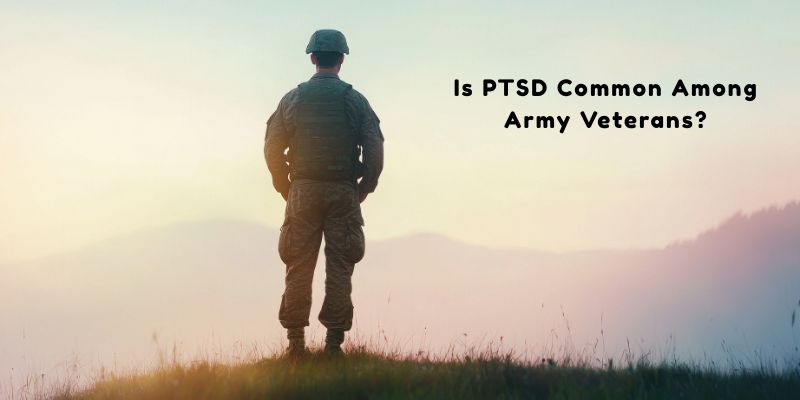 Is PTSD Common Among Army Veterans - Insightful Counselling Singapore
